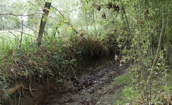 ruisseau en cours de restauration à Lanhélin